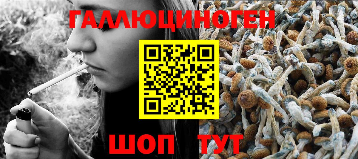 Псилоцибиновые грибы Psilocybine cubensis  Вход с VPN  Иваново 